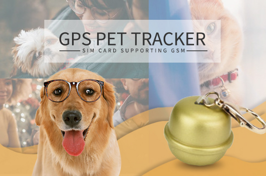 Collier GPS pour Chien - Localisateur d'Animaux